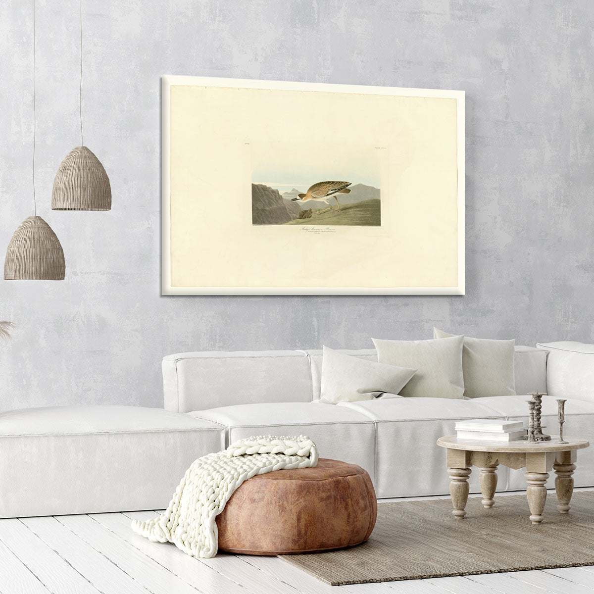 Rocky Mountain Plover by Audubon Canvas Print or Poster - Canvas Art Rocks - 6