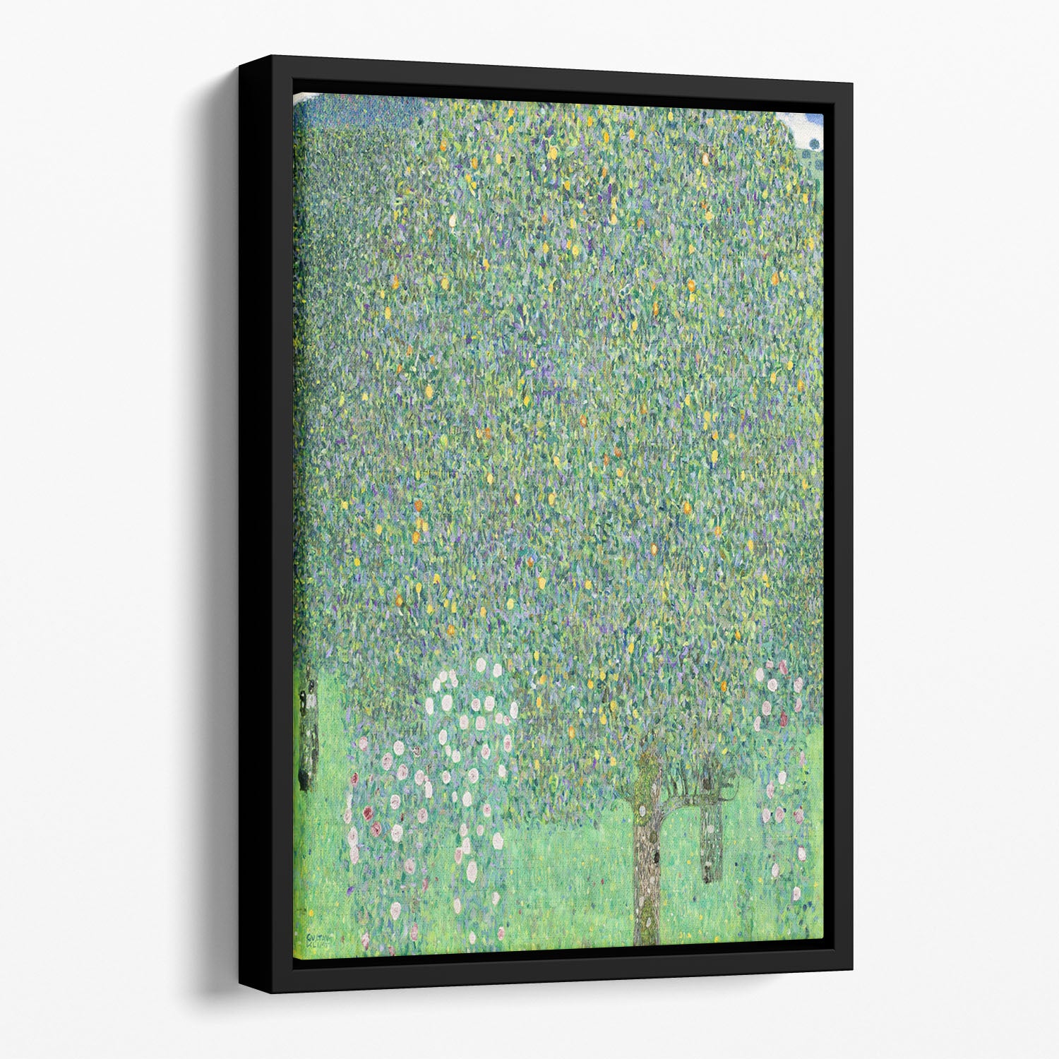 Rose bushes under the Trees by Klimt Floating Framed Canvas