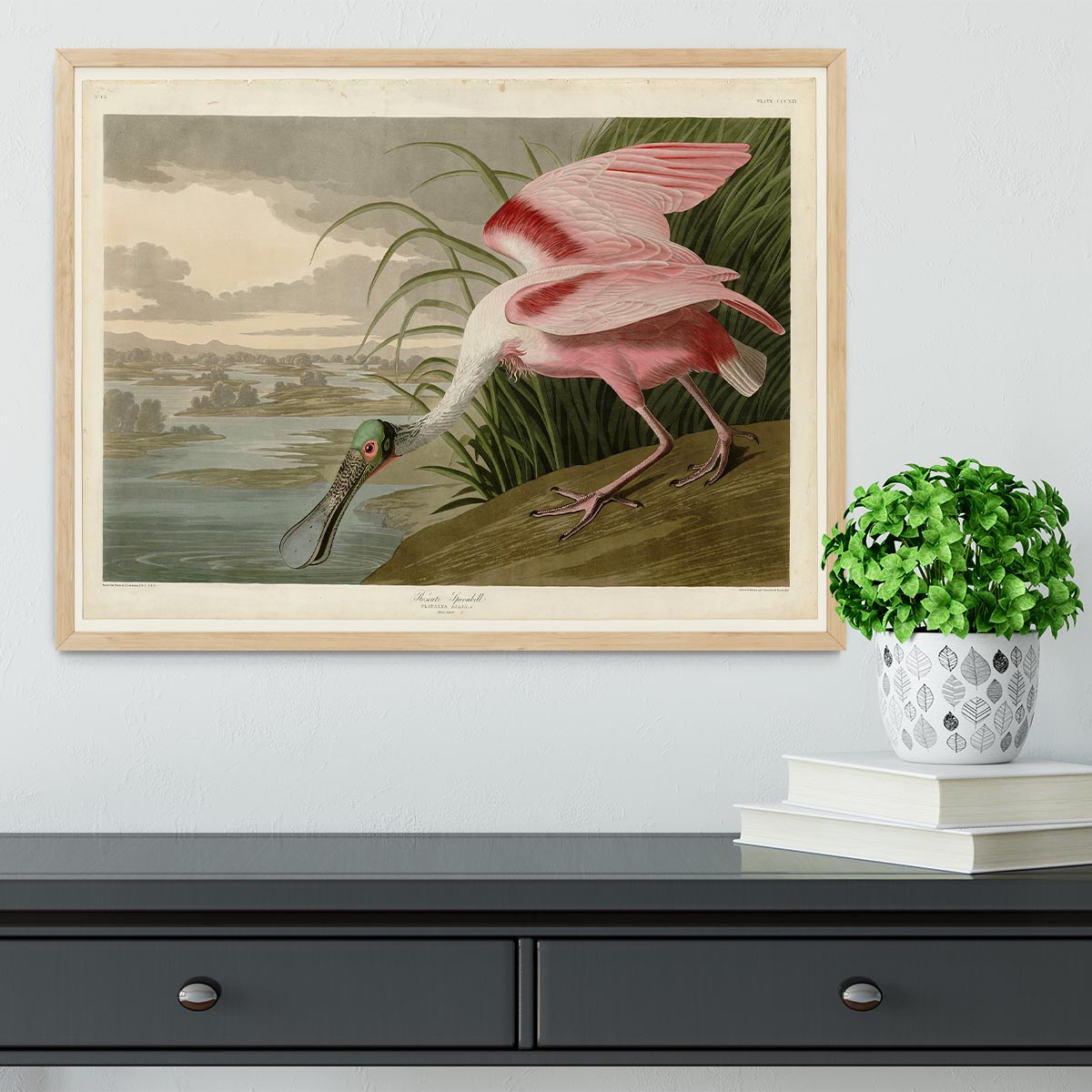 Roseate Spoonbill by Audubon Framed Print - Canvas Art Rocks - 4