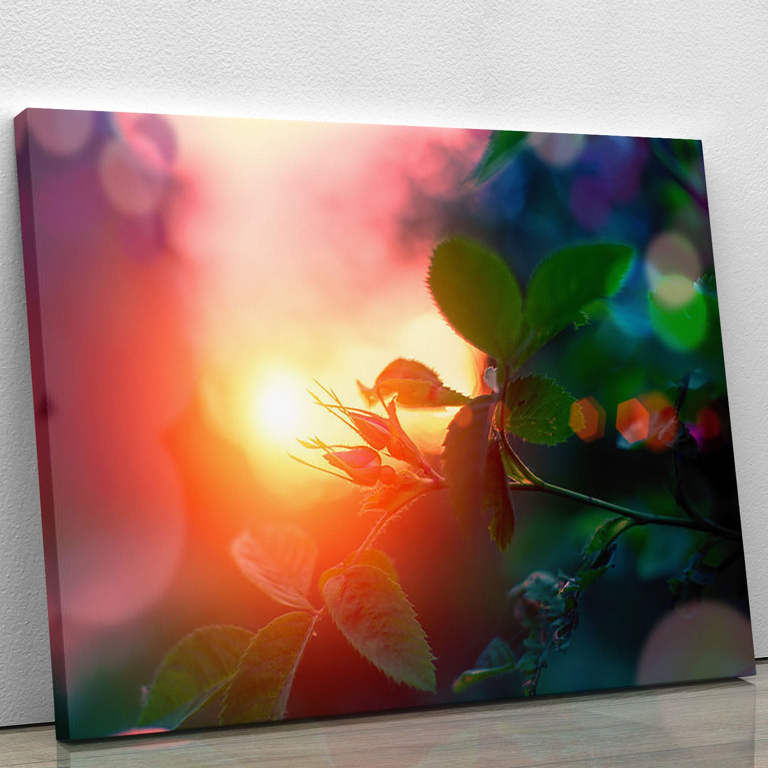 Rosebuds at sunset Canvas Print or Poster - Canvas Art Rocks - 1