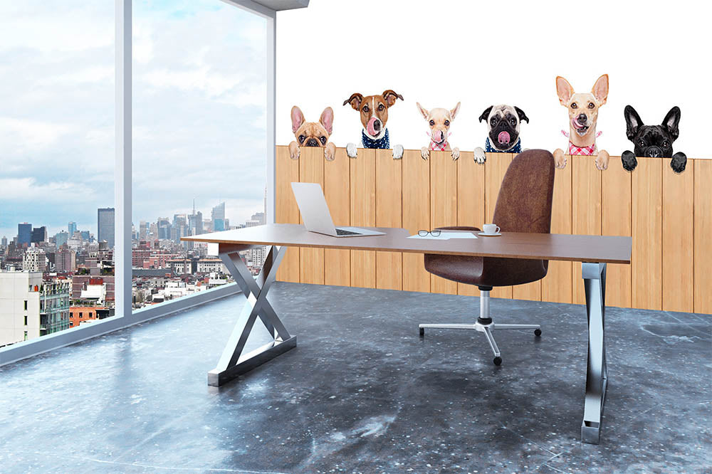 Row of dogs as a group or team all hungry Wall Mural Wallpaper - Canvas Art Rocks - 3