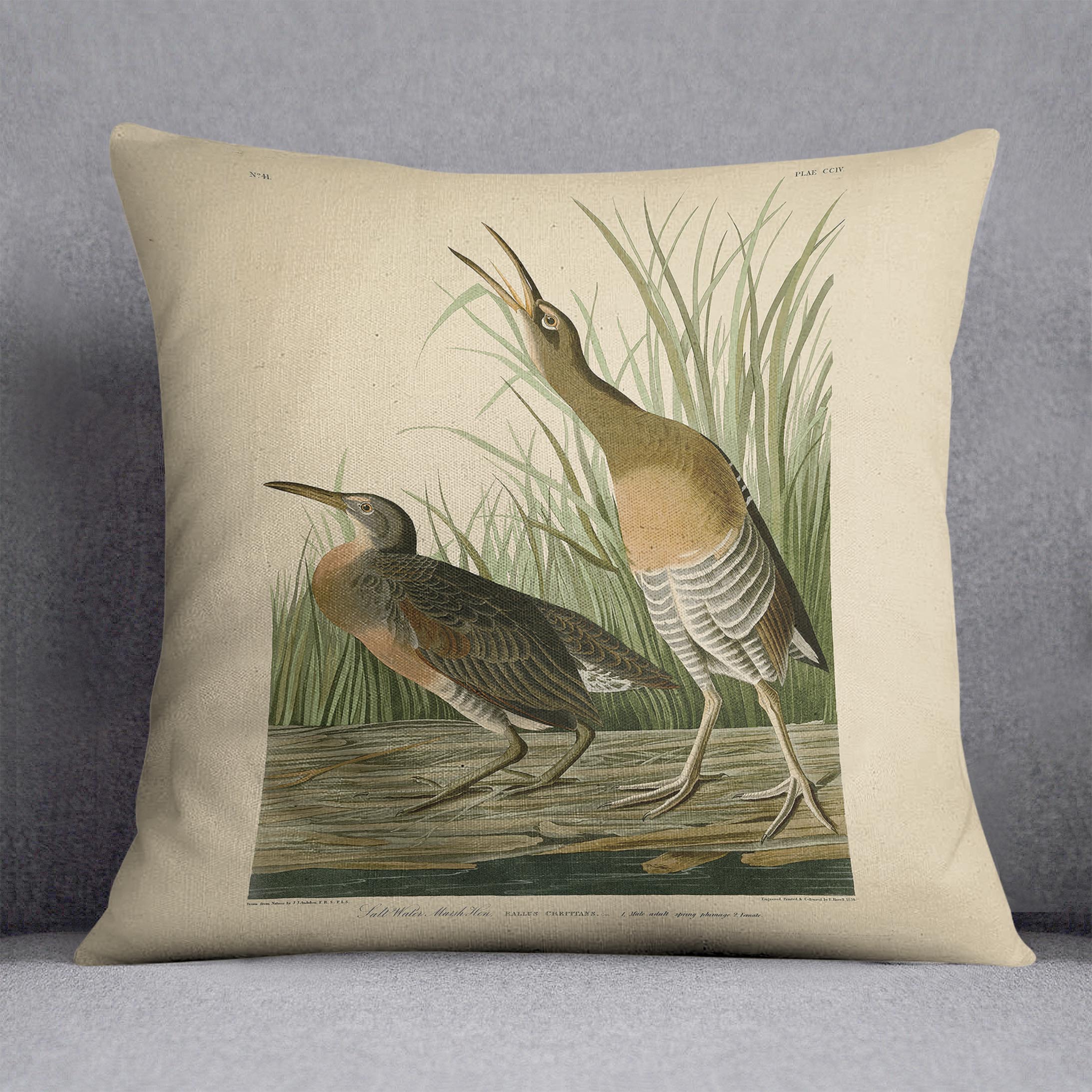 Salt Water Marsh Hen by Audubon Cushion