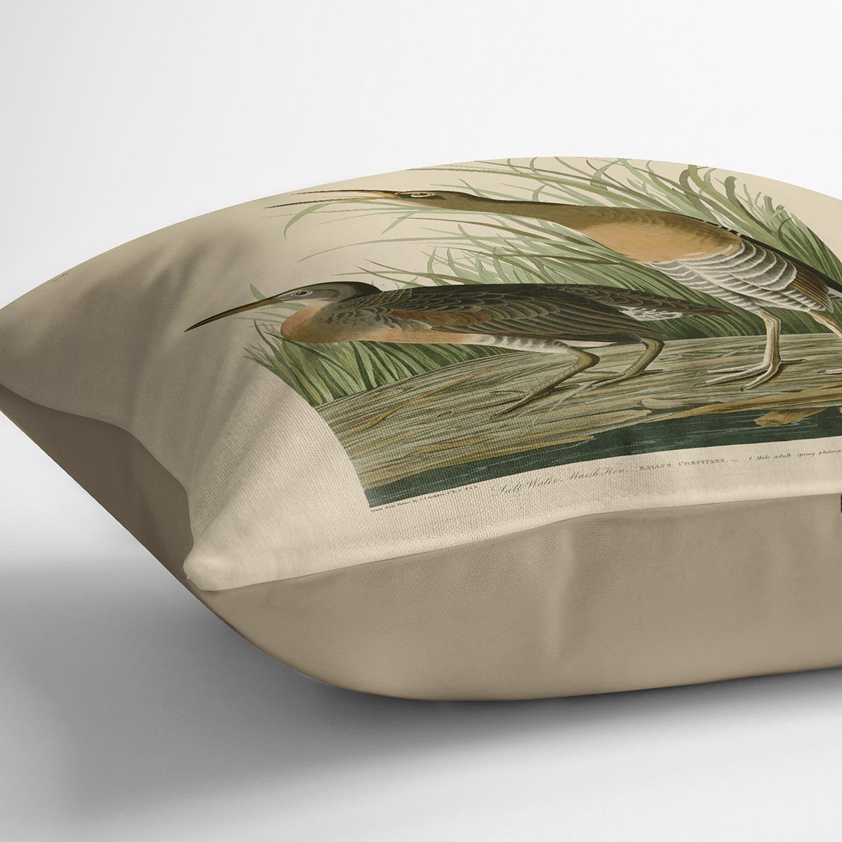 Salt Water Marsh Hen by Audubon Cushion