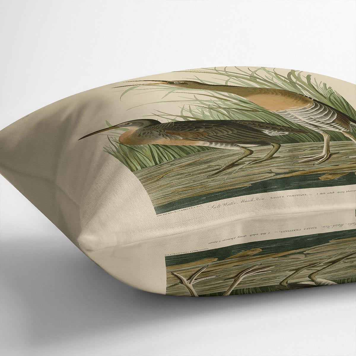 Salt Water Marsh Hen by Audubon Cushion