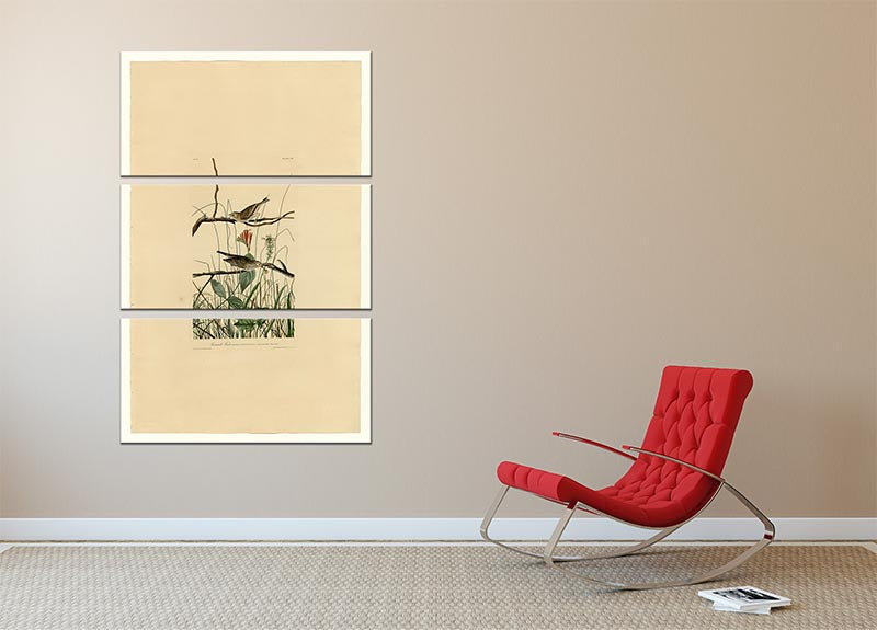 Savannah Finch by Audubon 3 Split Panel Canvas Print - Canvas Art Rocks - 2