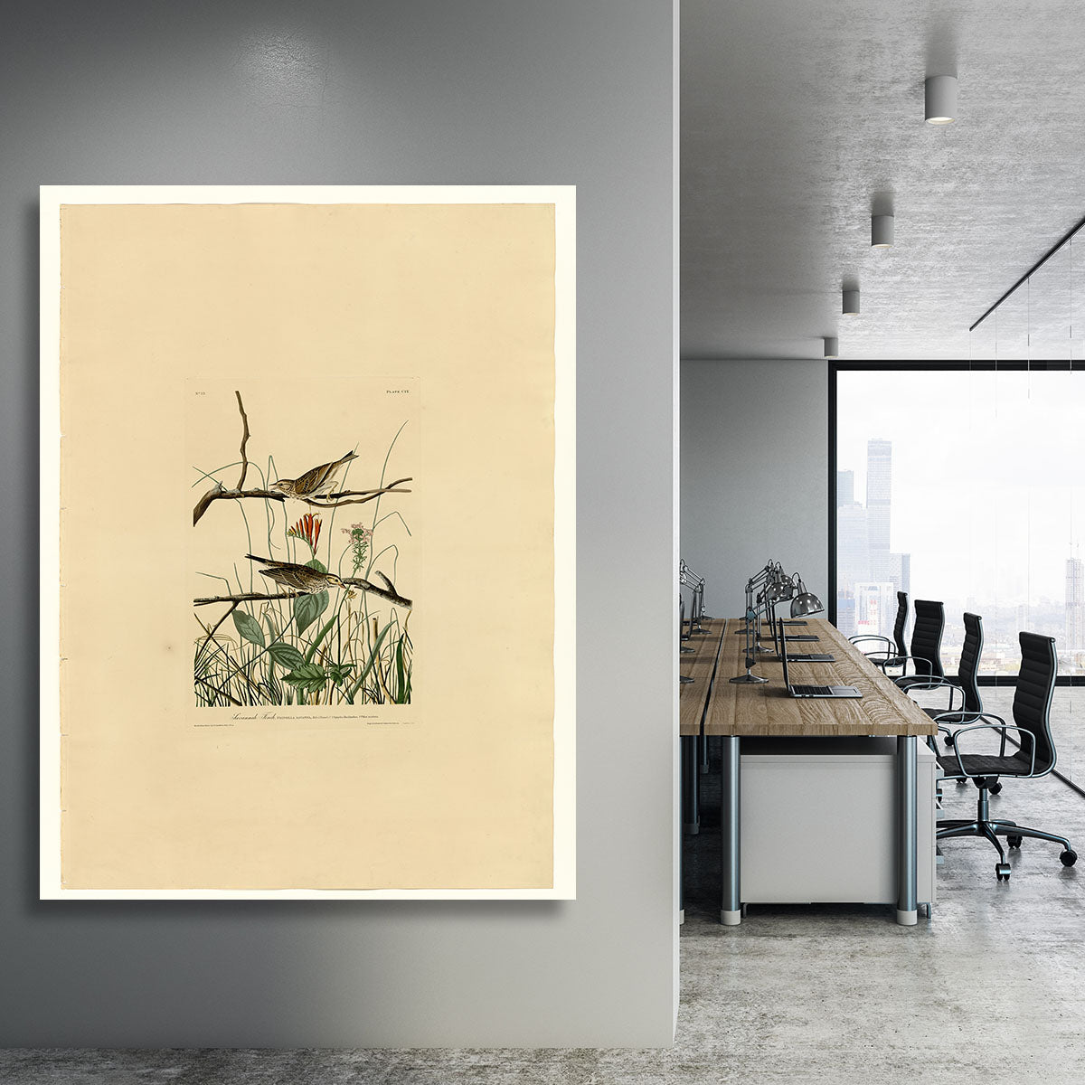 Savannah Finch by Audubon Canvas Print or Poster - Canvas Art Rocks - 3