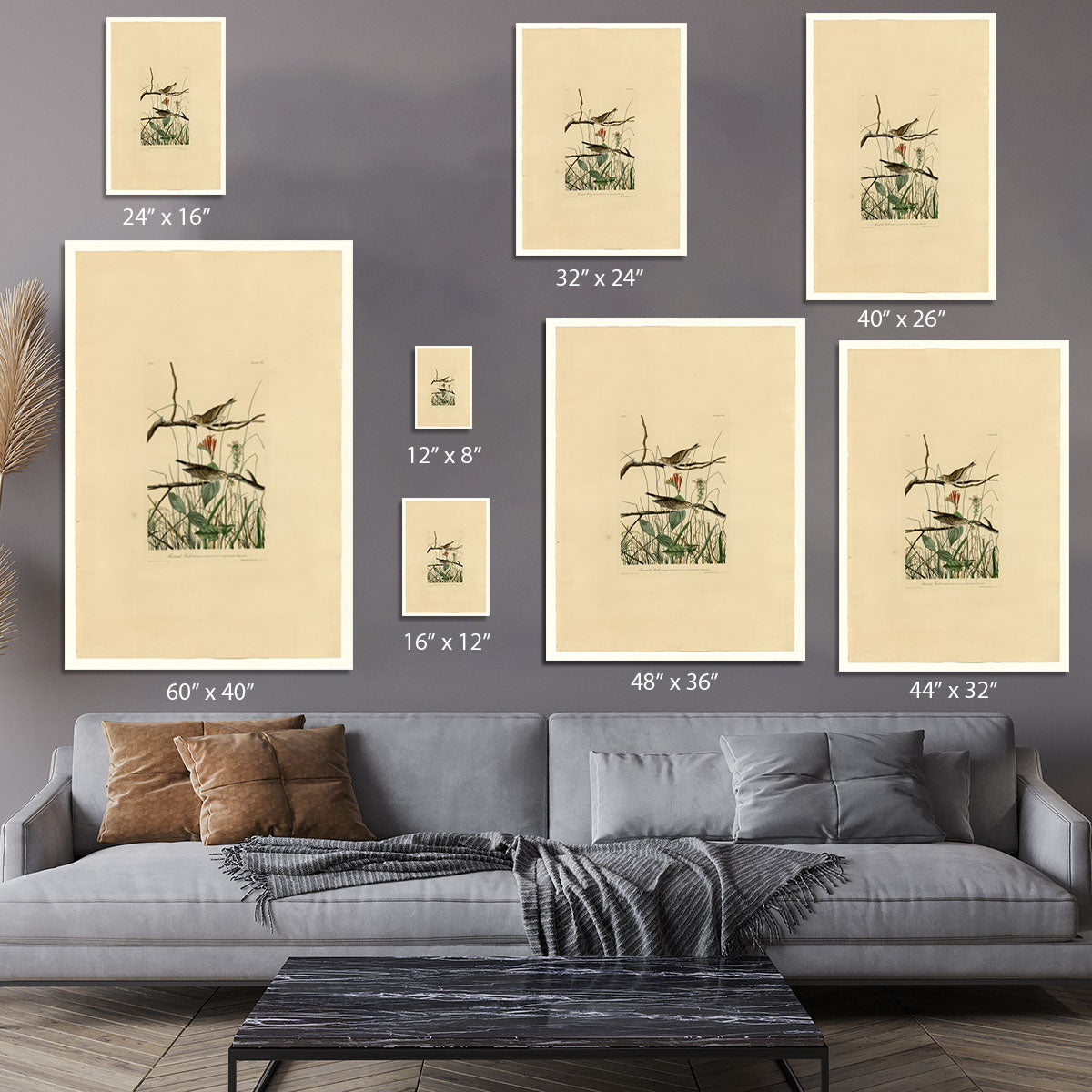 Savannah Finch by Audubon Canvas Print or Poster - Canvas Art Rocks - 7