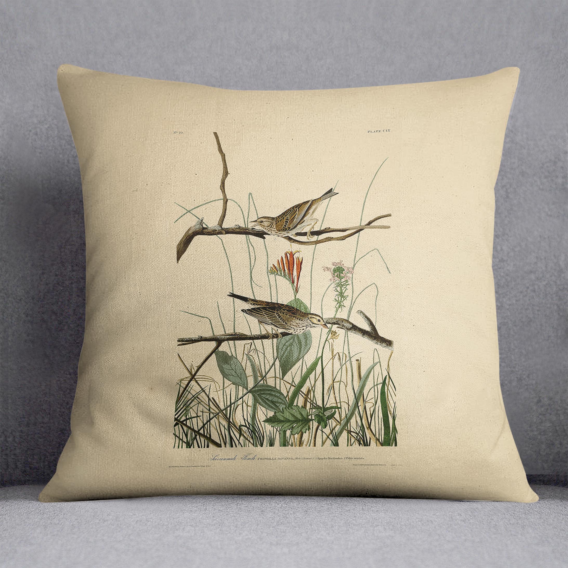 Savannah Finch by Audubon Cushion