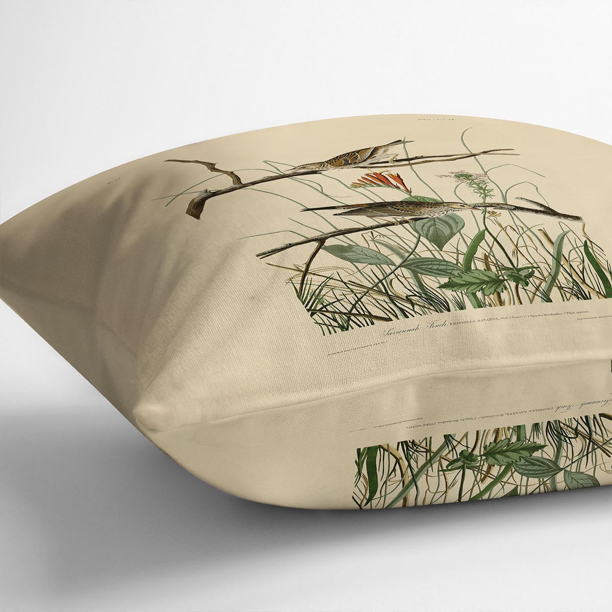 Savannah Finch by Audubon Cushion