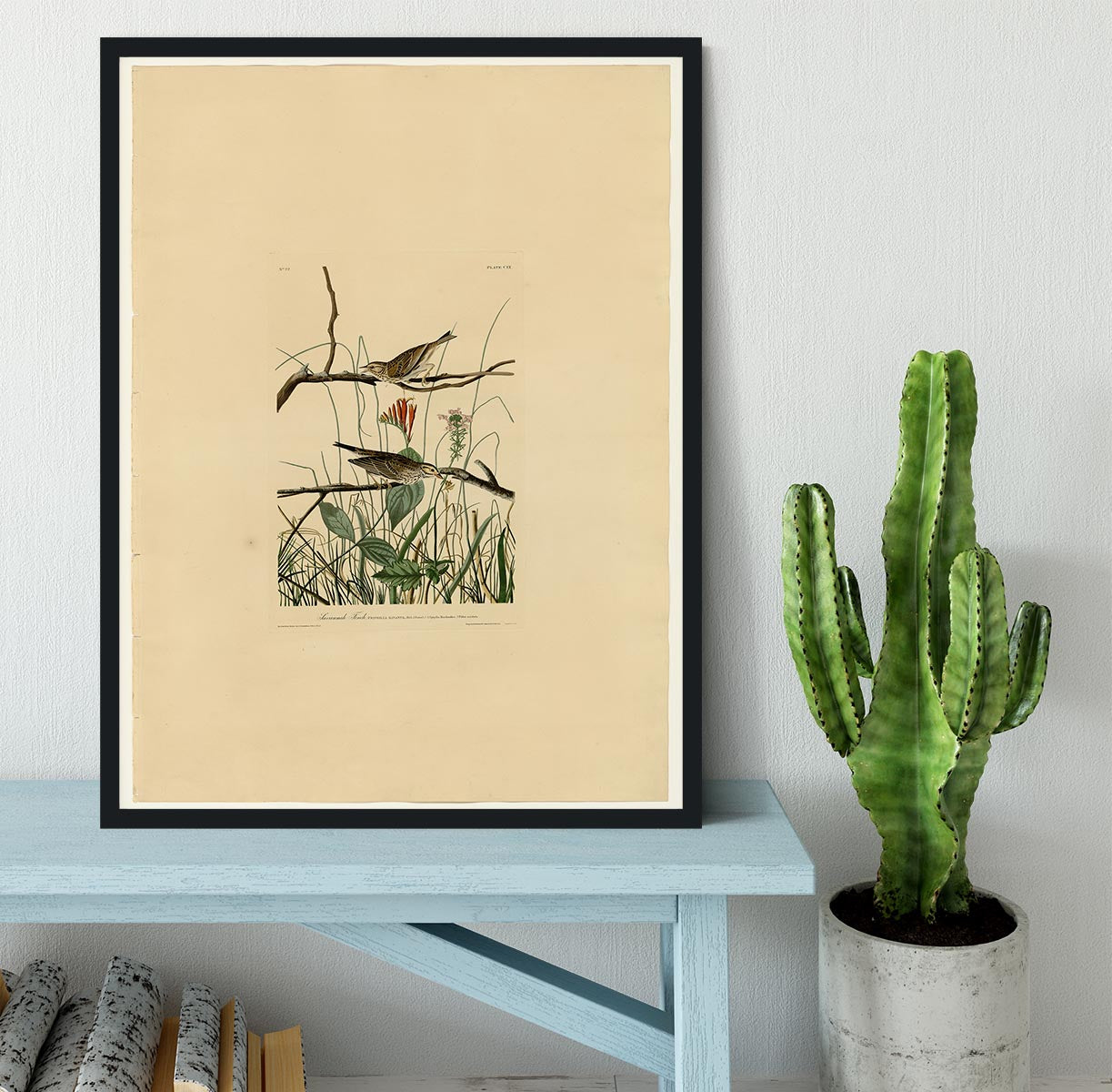 Savannah Finch by Audubon Framed Print - Canvas Art Rocks - 2