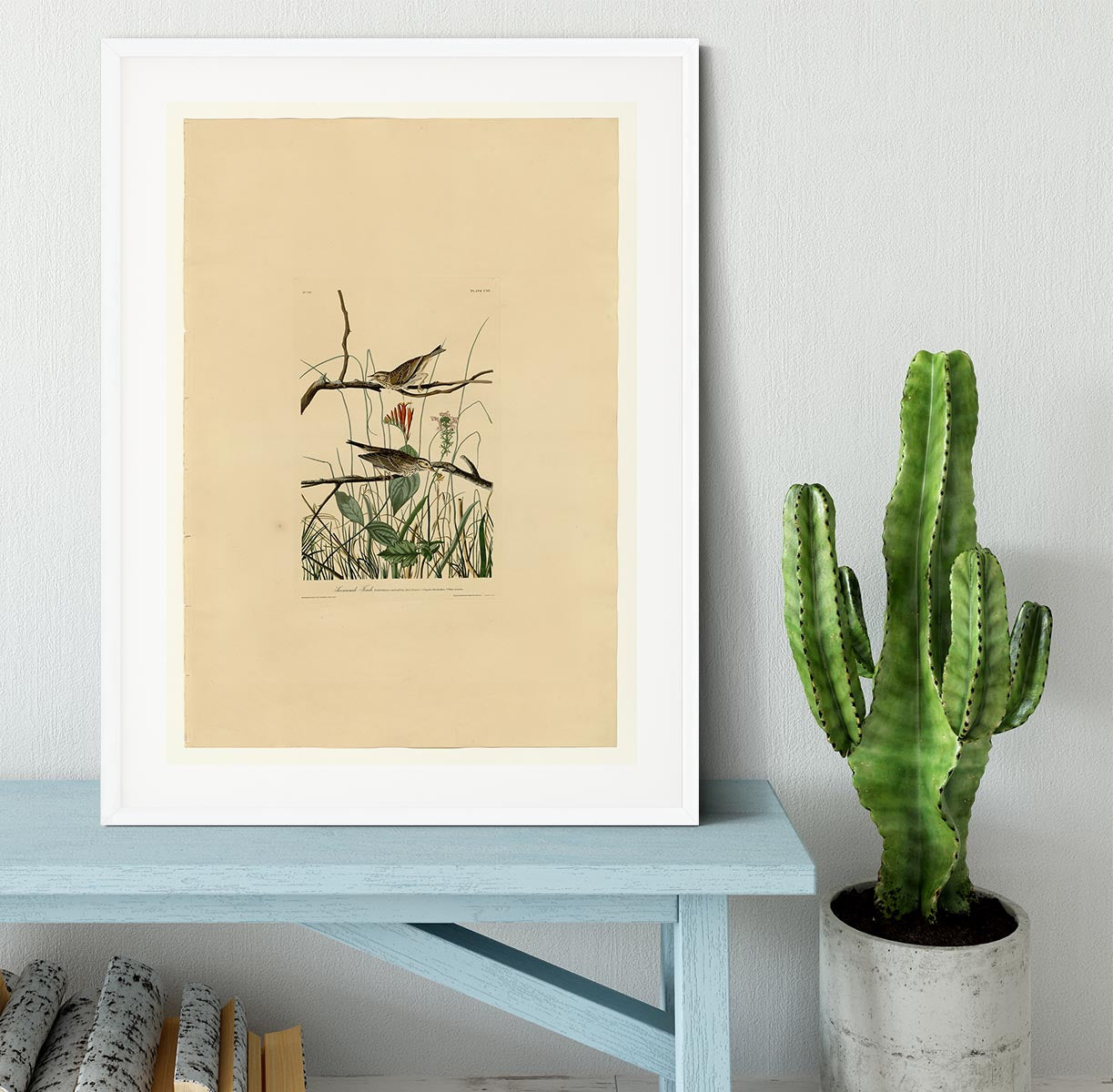 Savannah Finch by Audubon Framed Print - Canvas Art Rocks - 5