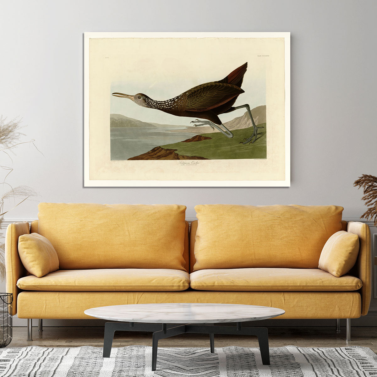 Scolopaceus Courlan by Audubon Canvas Print or Poster - Canvas Art Rocks - 4