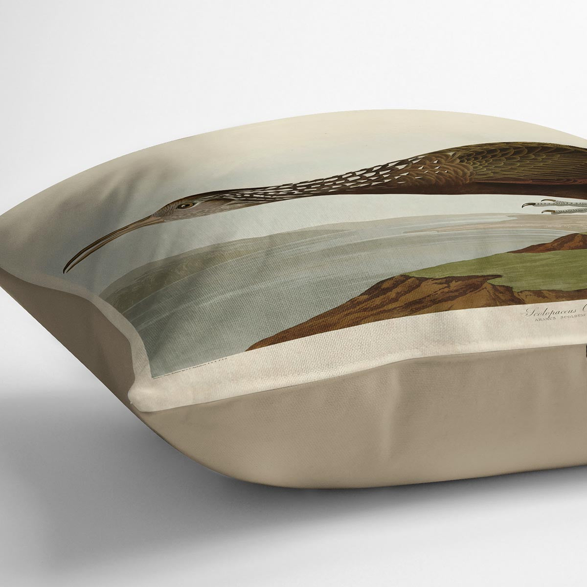 Scolopaceus Courlan by Audubon Cushion