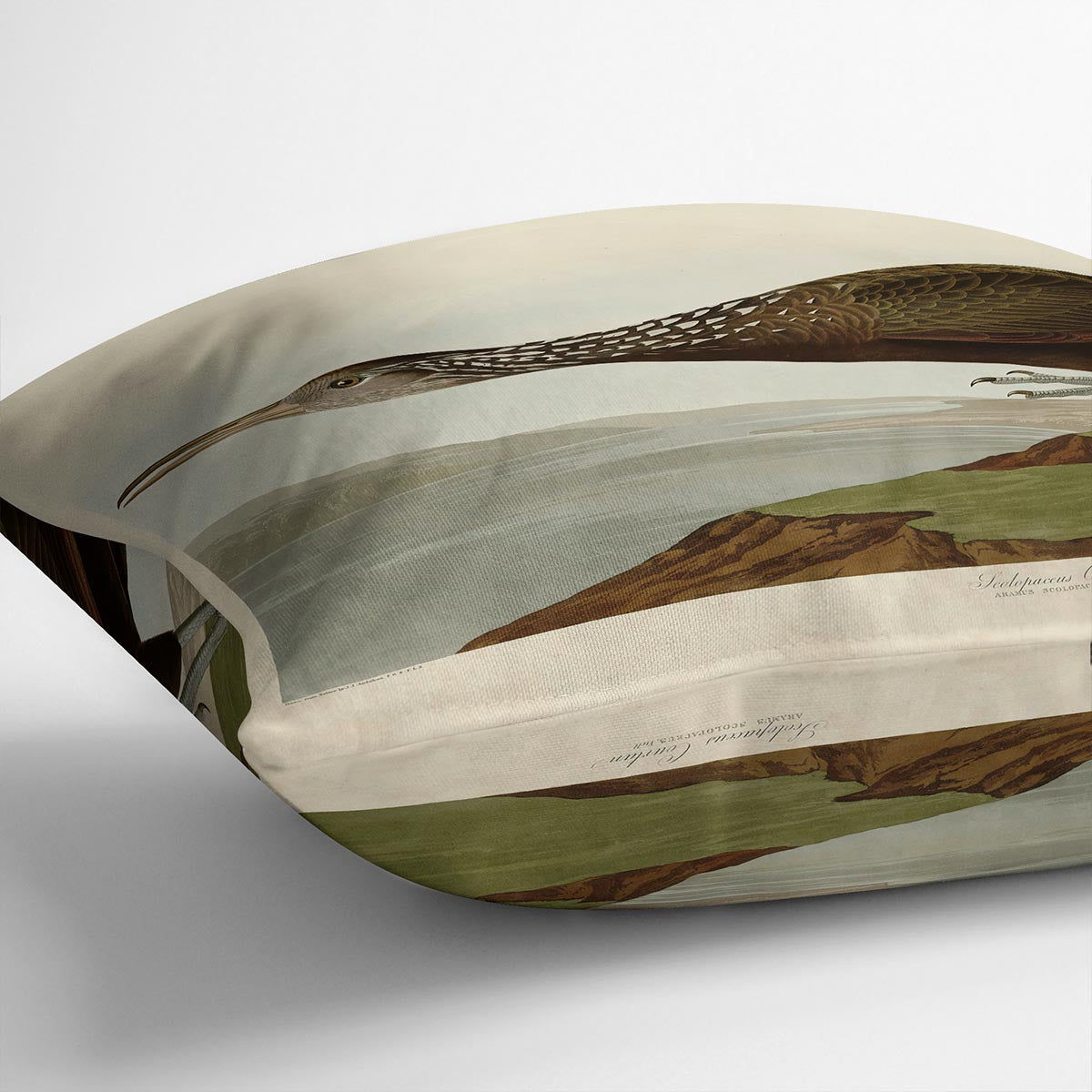 Scolopaceus Courlan by Audubon Cushion