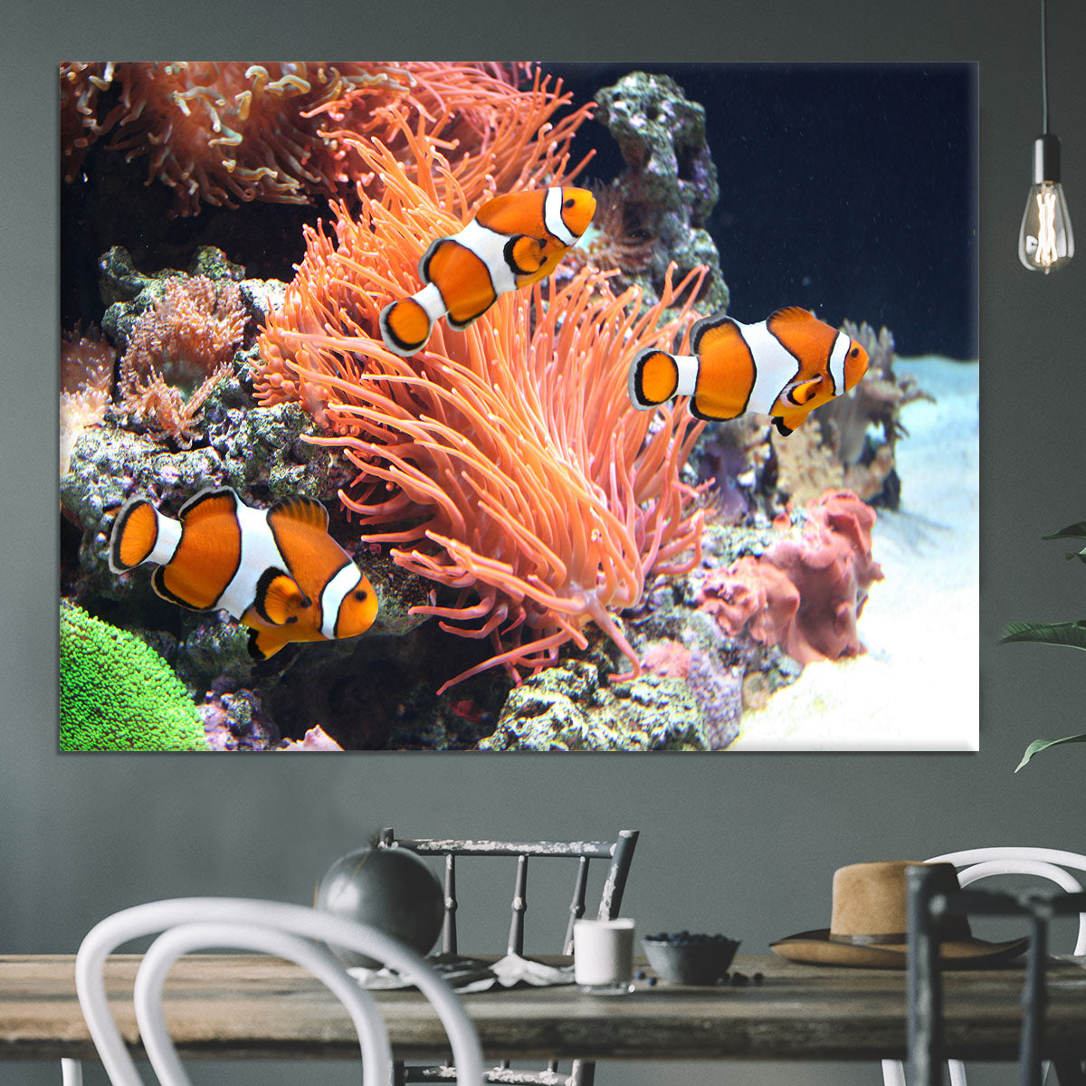 Sea anemone Canvas Print or Poster - Canvas Art Rocks - 3