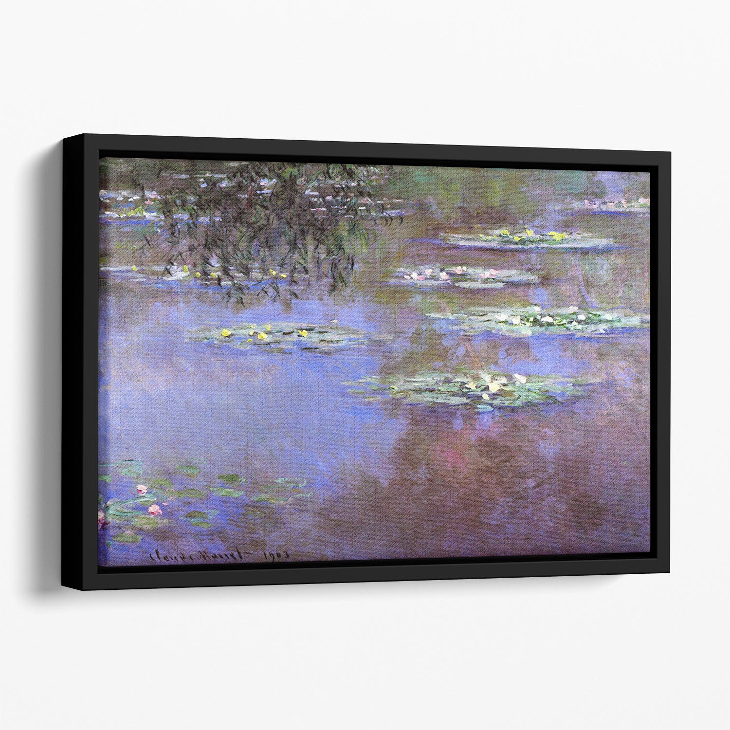Sea roses 4 by Monet Floating Framed Canvas
