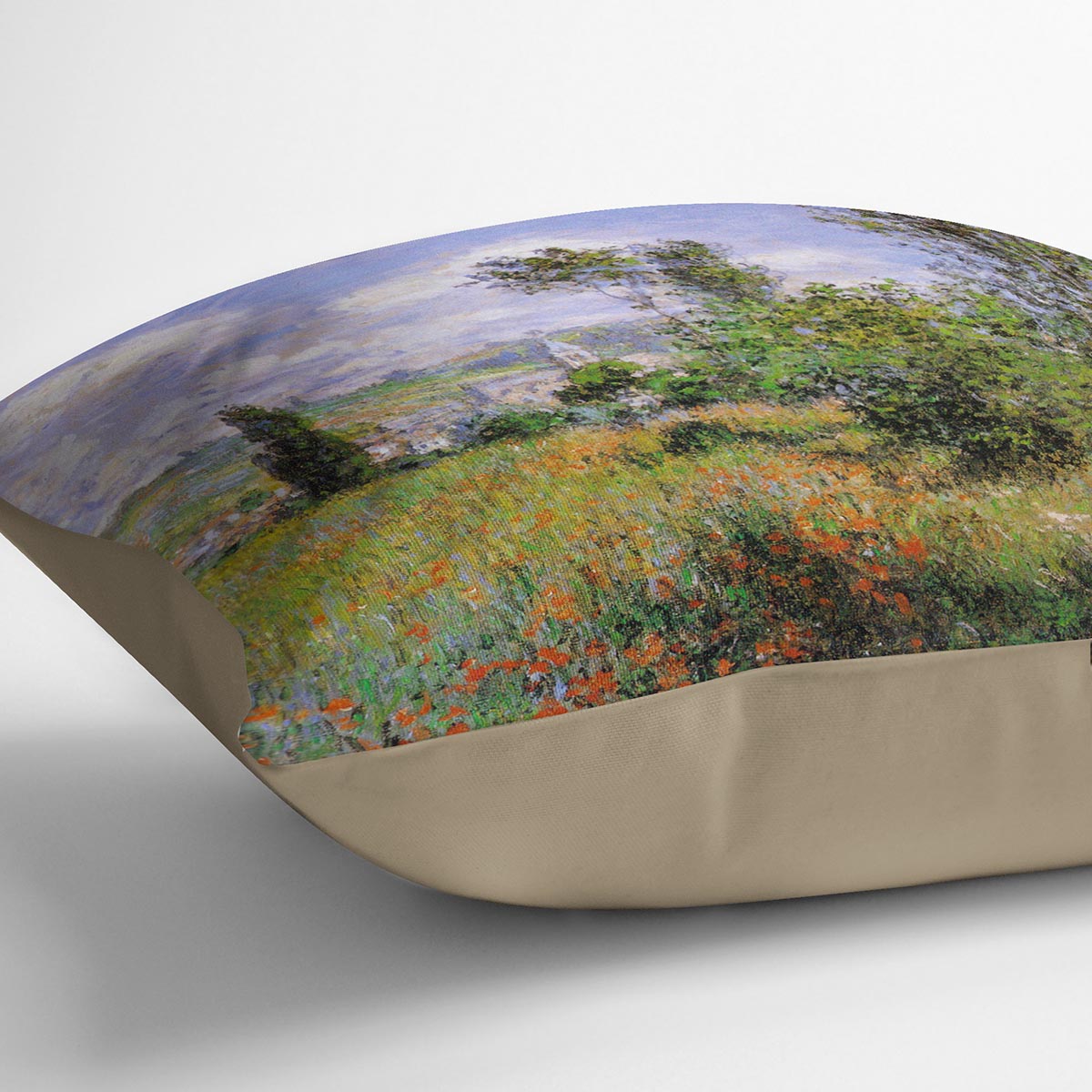 Sentier ile Saint Martin 1880 by Monet Cushion