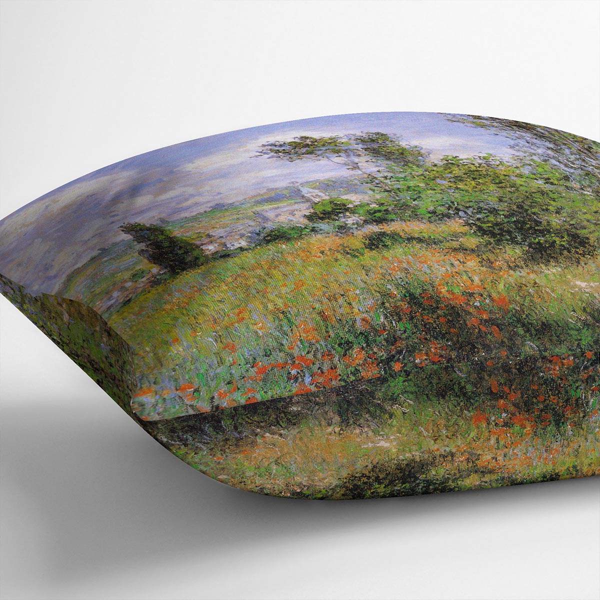 Sentier ile Saint Martin 1880 by Monet Cushion