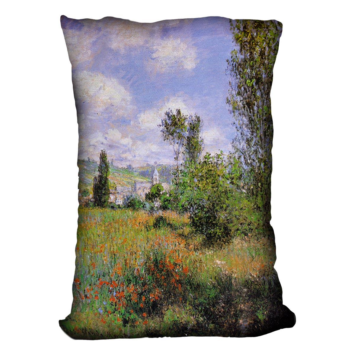 Sentier ile Saint Martin 1880 by Monet Cushion