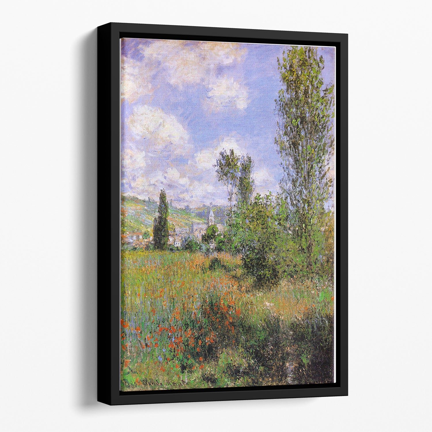 Sentier ile Saint Martin 1880 by Monet Floating Framed Canvas