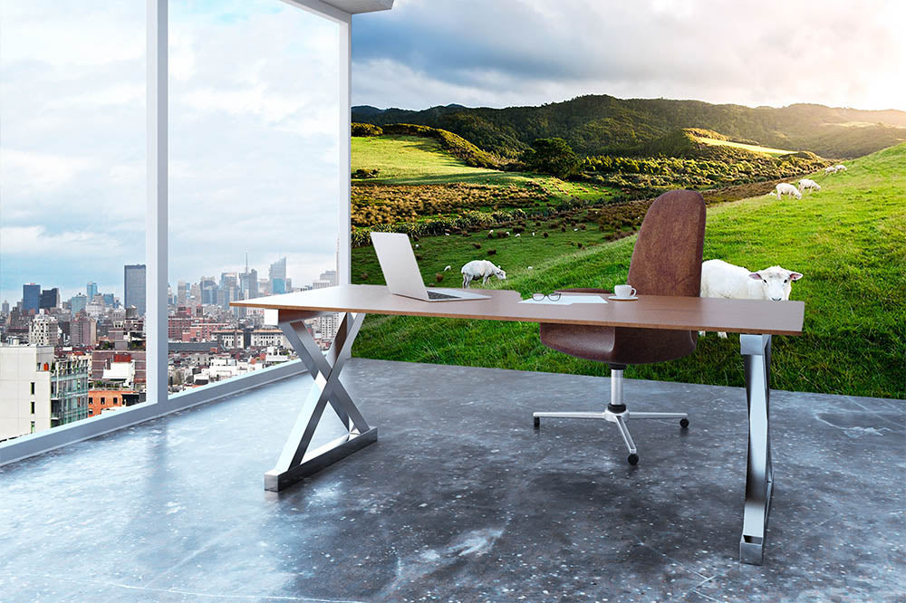 Sheep in farm in New Zealand Wall Mural Wallpaper - Canvas Art Rocks - 3