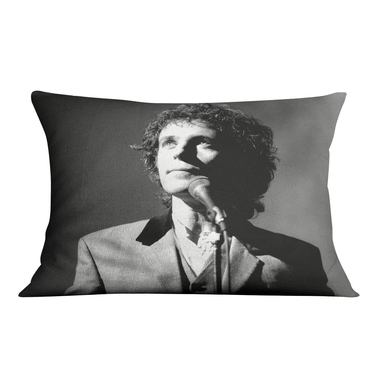 Singer and Actor David Essex Cushion
