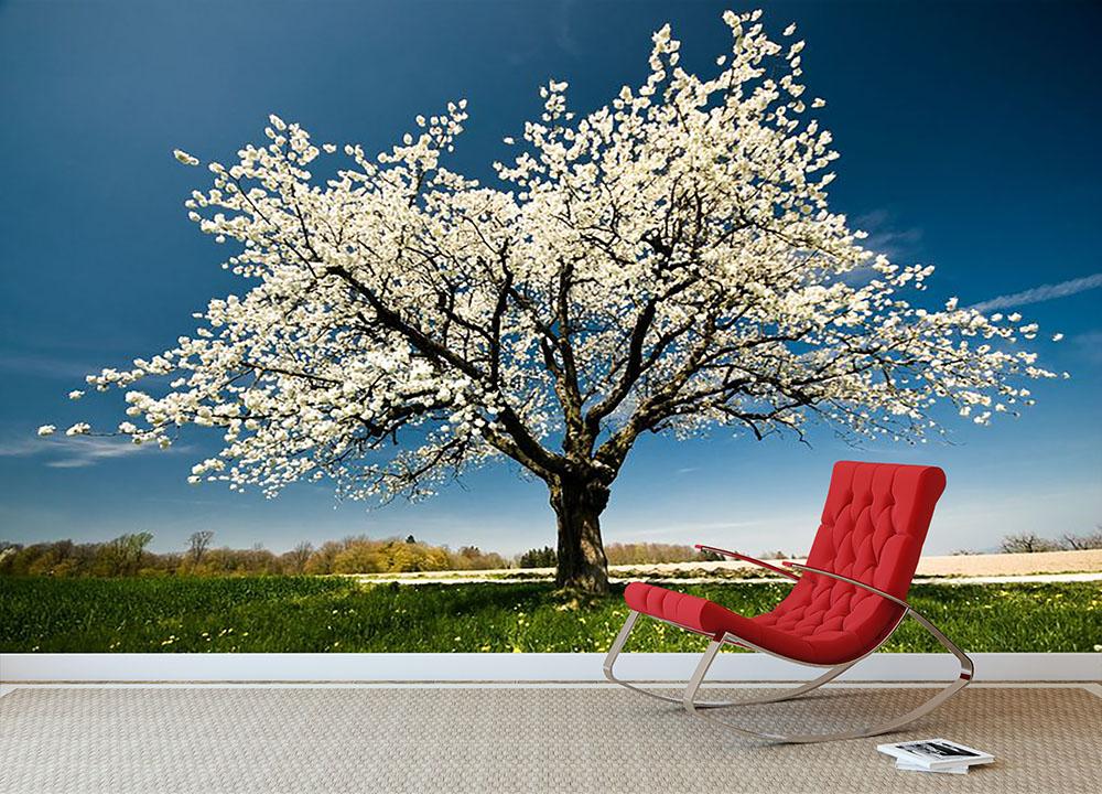 Single blossoming tree in spring Wall Mural Wallpaper - Canvas Art Rocks - 2