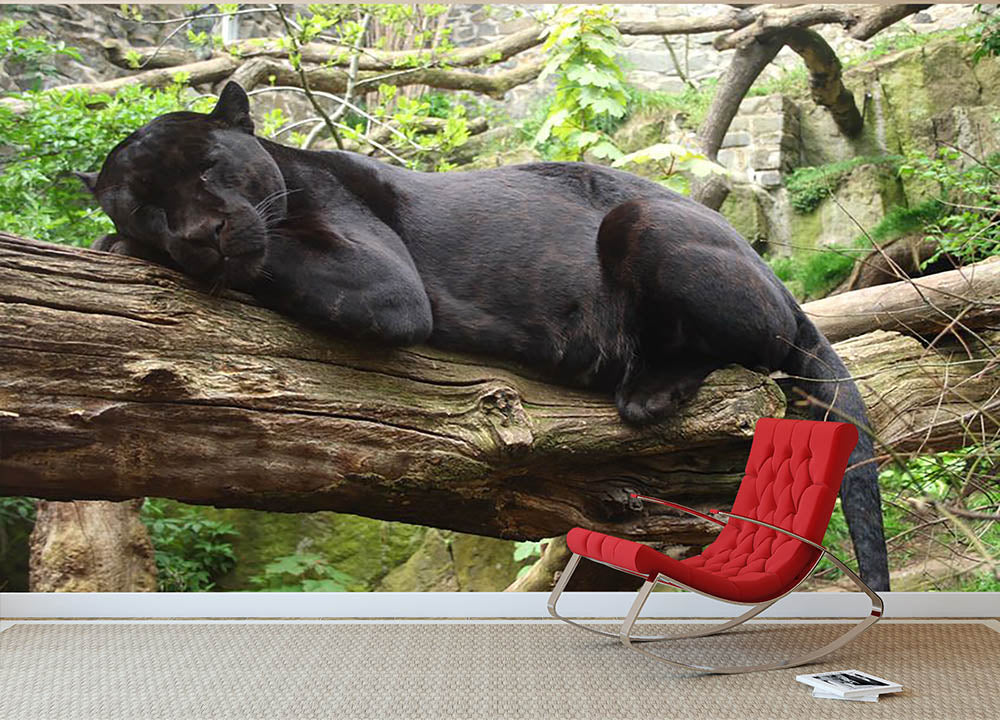 Sleeping black jaguar Wall Mural Wallpaper - Canvas Art Rocks - 2