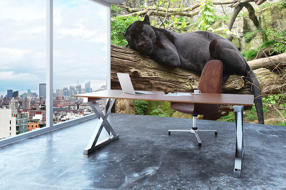 Sleeping black jaguar Wall Mural Wallpaper - Canvas Art Rocks - 3