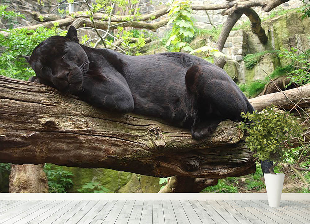 Sleeping black jaguar Wall Mural Wallpaper - Canvas Art Rocks - 4