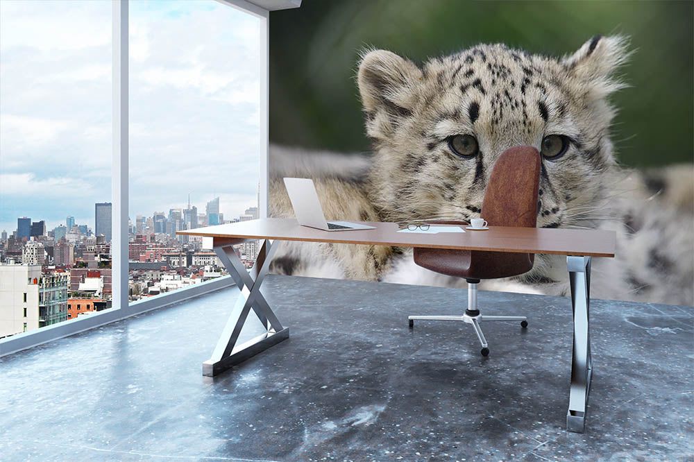 Snow Leopard cubs in the wild Wall Mural Wallpaper - Canvas Art Rocks - 3