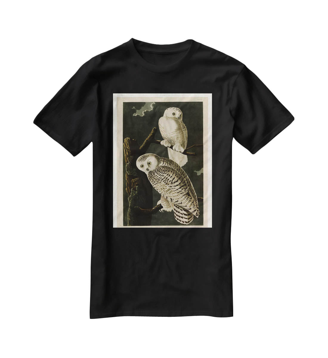 Snowy Owl by Audubon T-Shirt - Canvas Art Rocks - 1