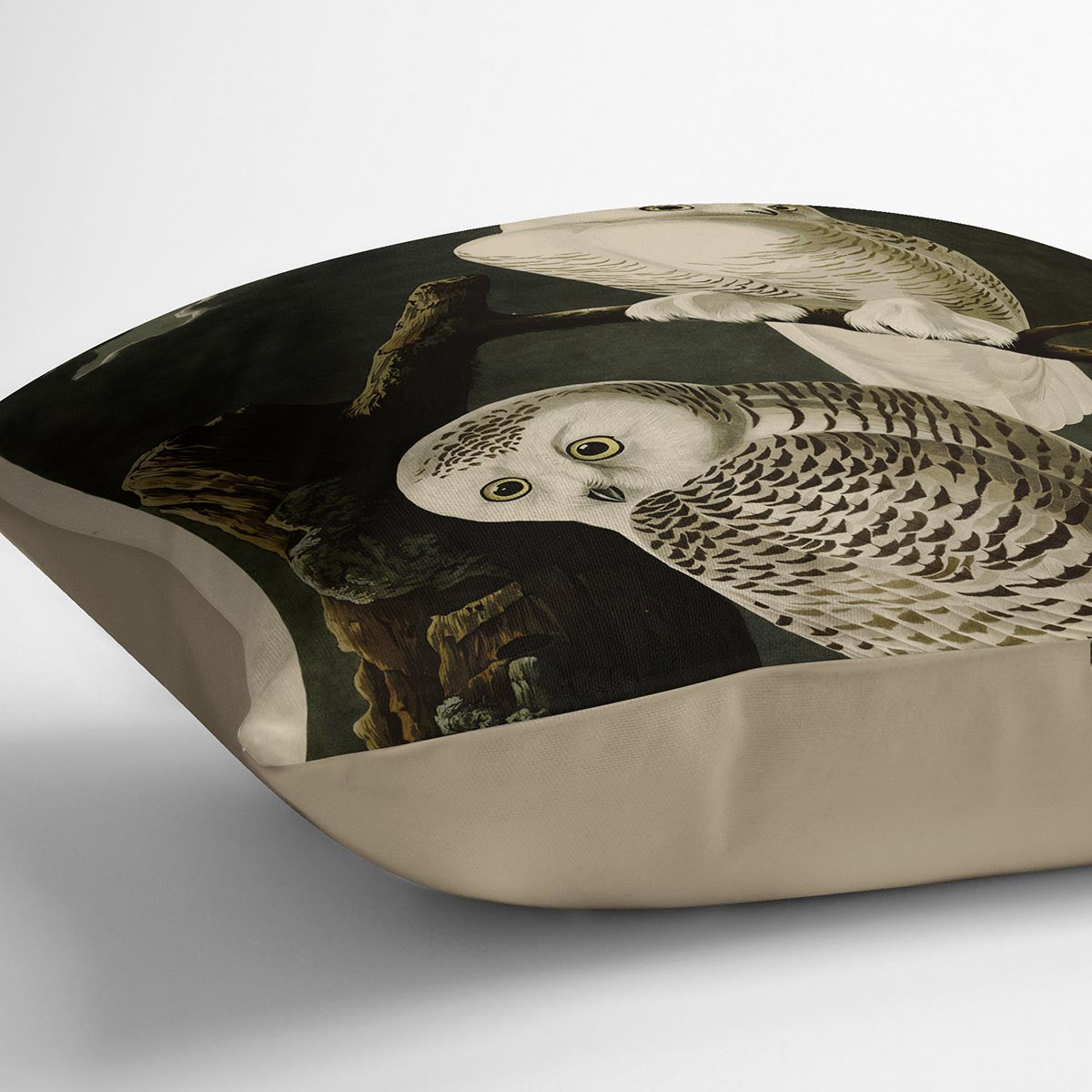 Snowy Owl by Audubon Cushion