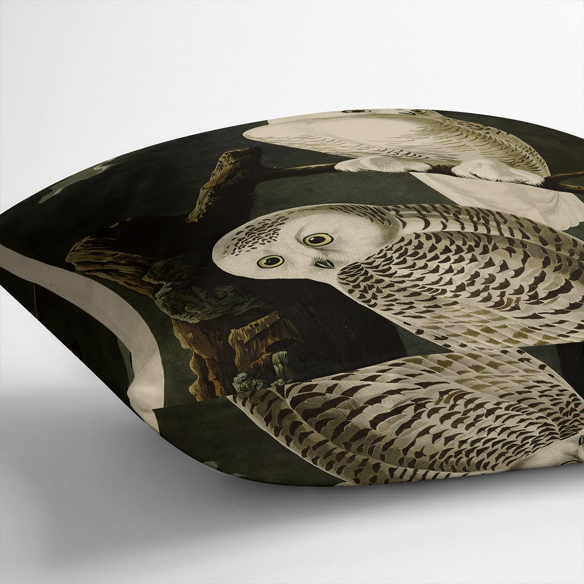 Snowy Owl by Audubon Cushion