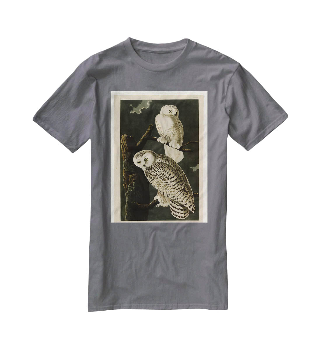 Snowy Owl by Audubon T-Shirt - Canvas Art Rocks - 3