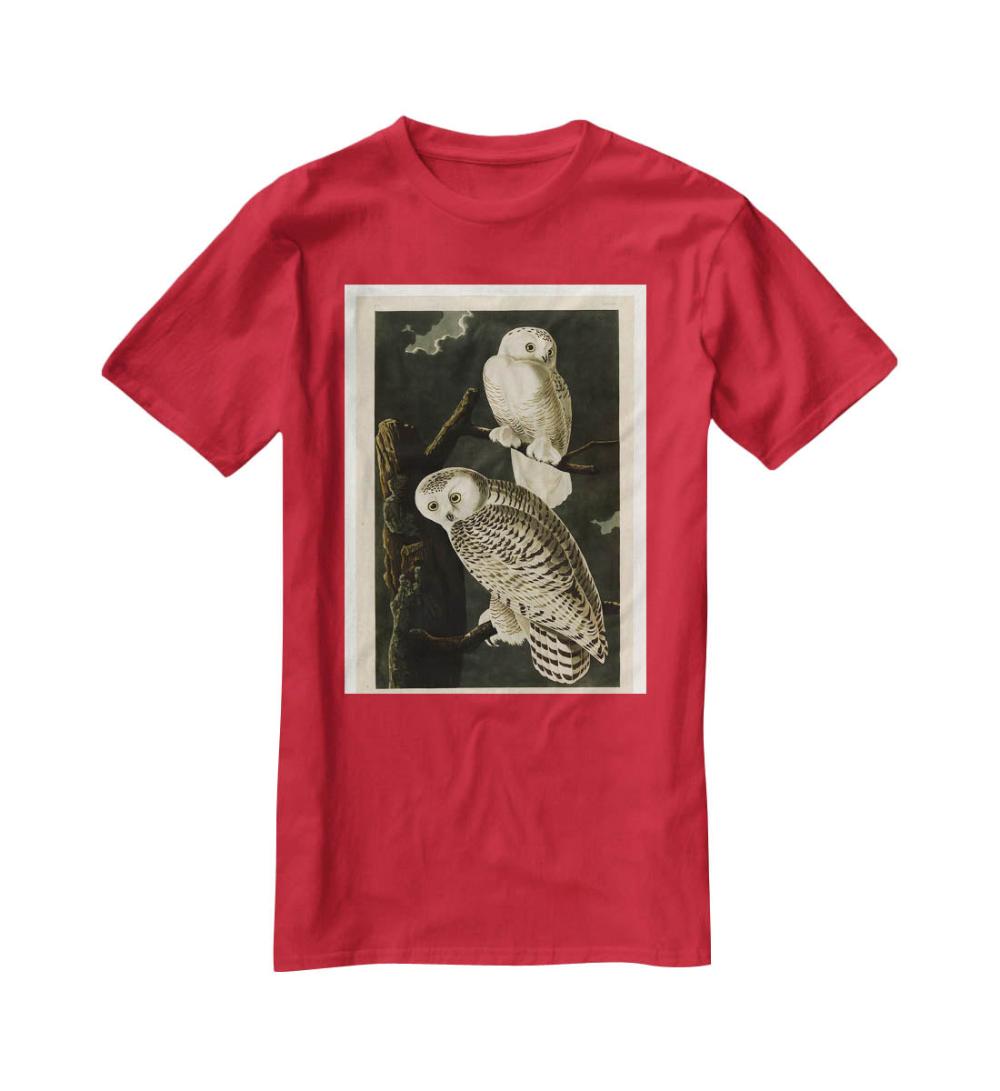 Snowy Owl by Audubon T-Shirt - Canvas Art Rocks - 4