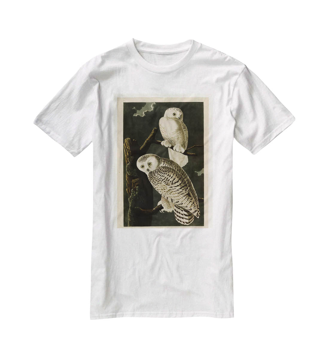 Snowy Owl by Audubon T-Shirt - Canvas Art Rocks - 5