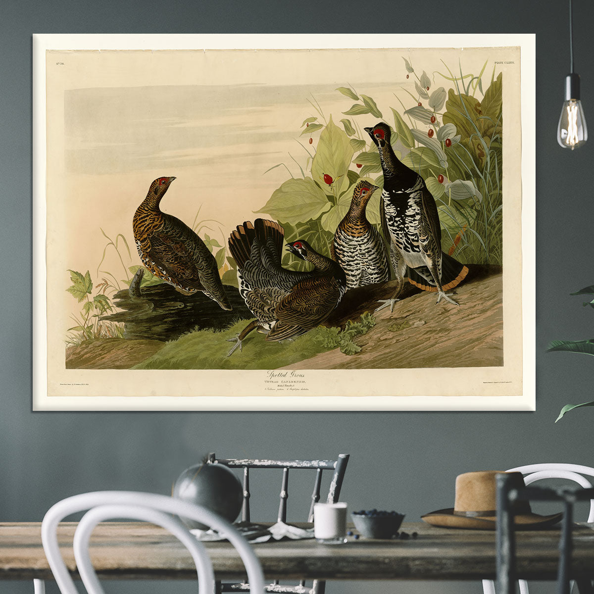 Spotted Grouse by Audubon Canvas Print or Poster - Canvas Art Rocks - 3