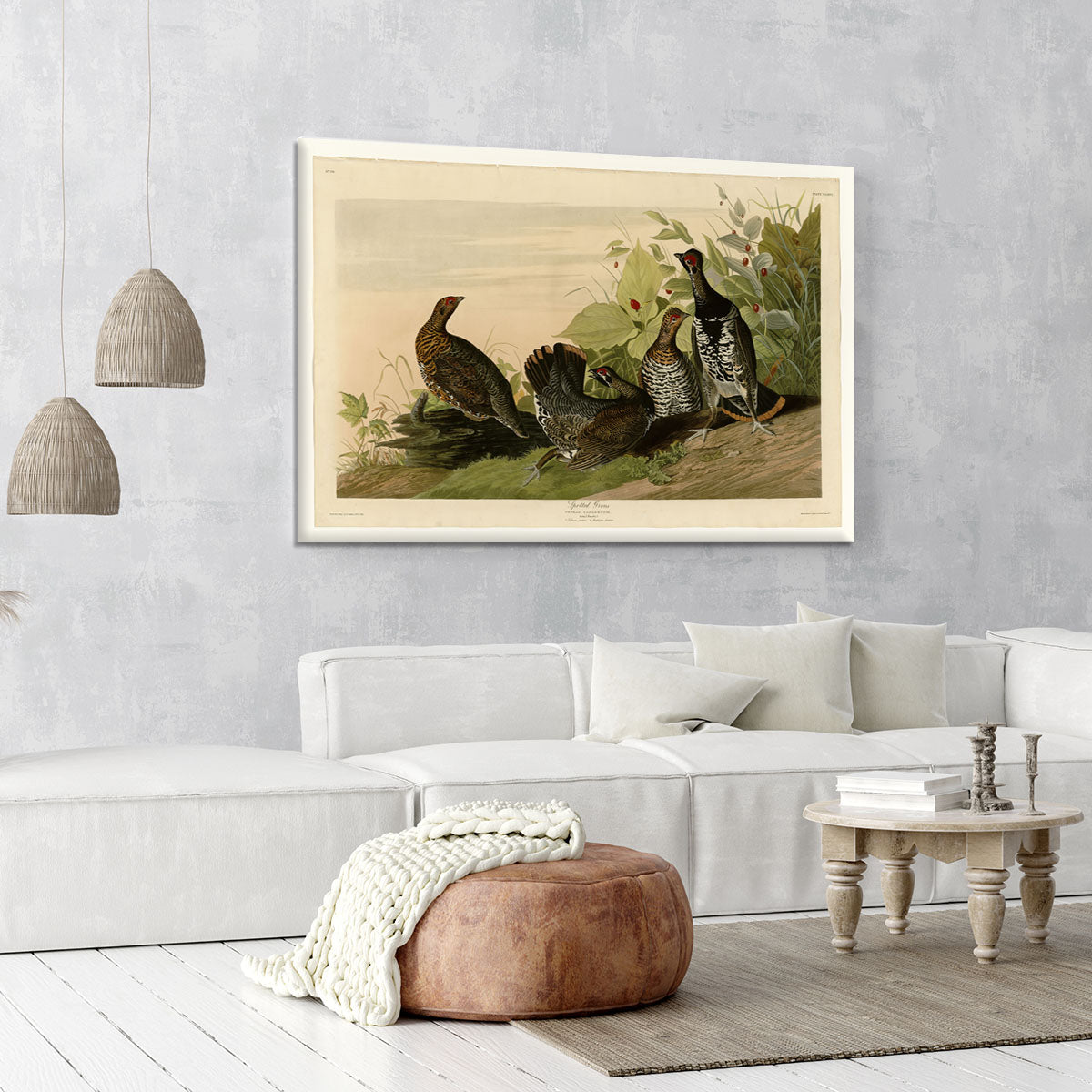 Spotted Grouse by Audubon Canvas Print or Poster - Canvas Art Rocks - 6