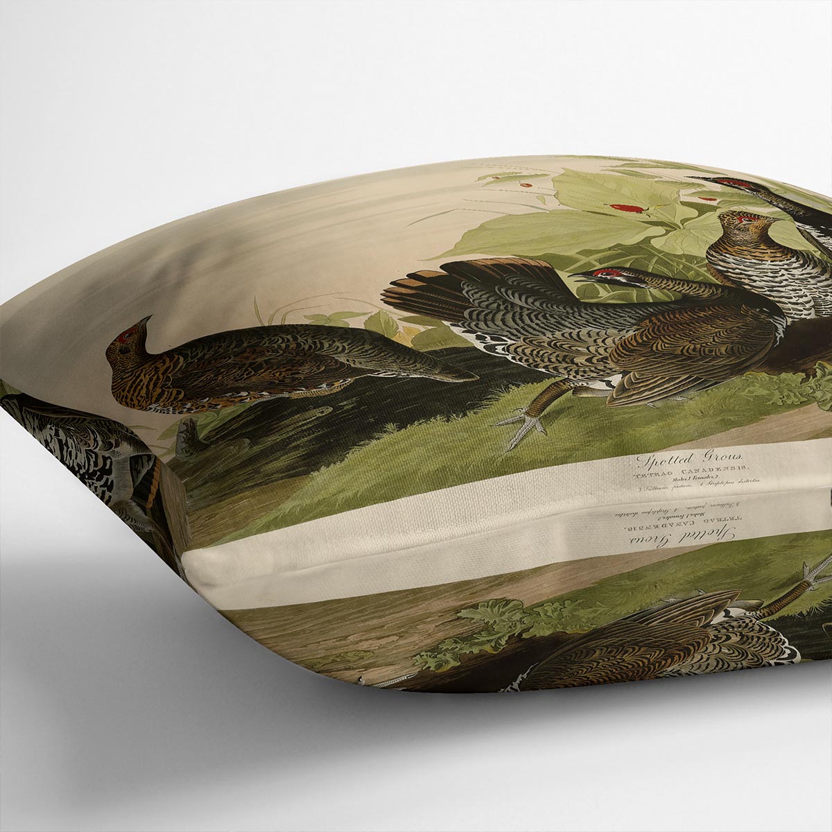 Spotted Grouse by Audubon Cushion