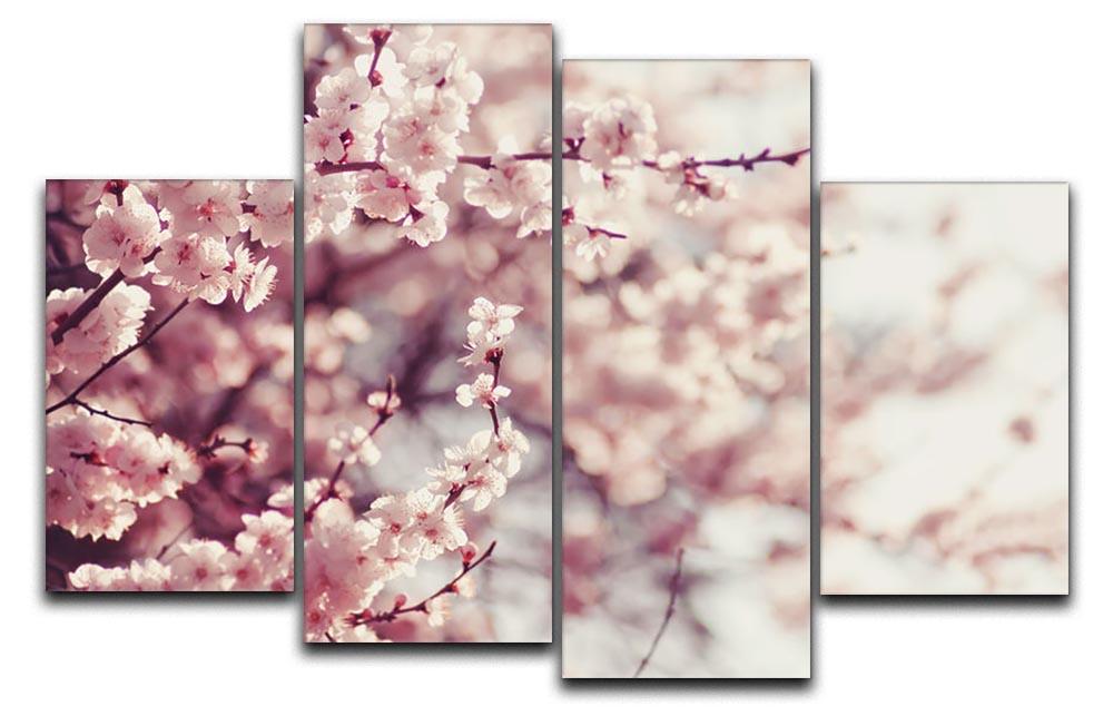 Spring Cherry blossoms 4 Split Panel Canvas - Canvas Art Rocks - 1