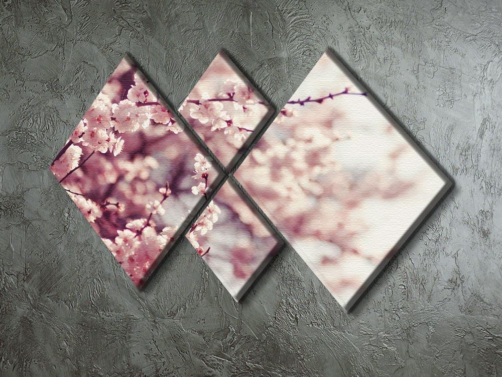 Spring Cherry blossoms 4 Square Multi Panel Canvas - Canvas Art Rocks - 2