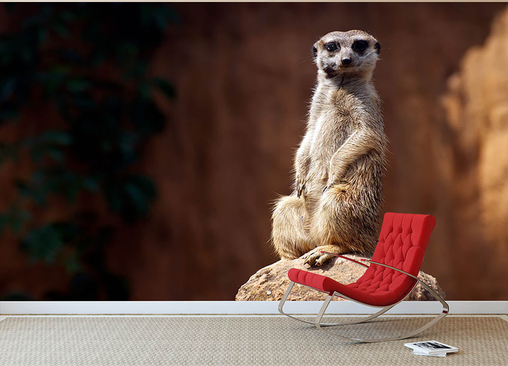 Standing African suricata meerkat Wall Mural Wallpaper - Canvas Art Rocks - 2