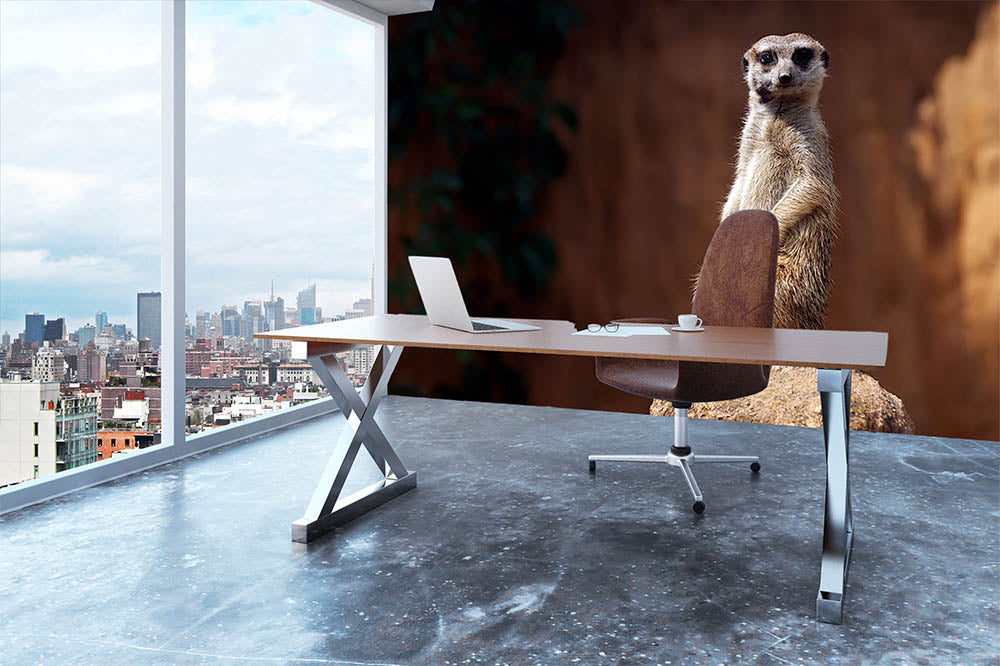 Standing African suricata meerkat Wall Mural Wallpaper - Canvas Art Rocks - 3