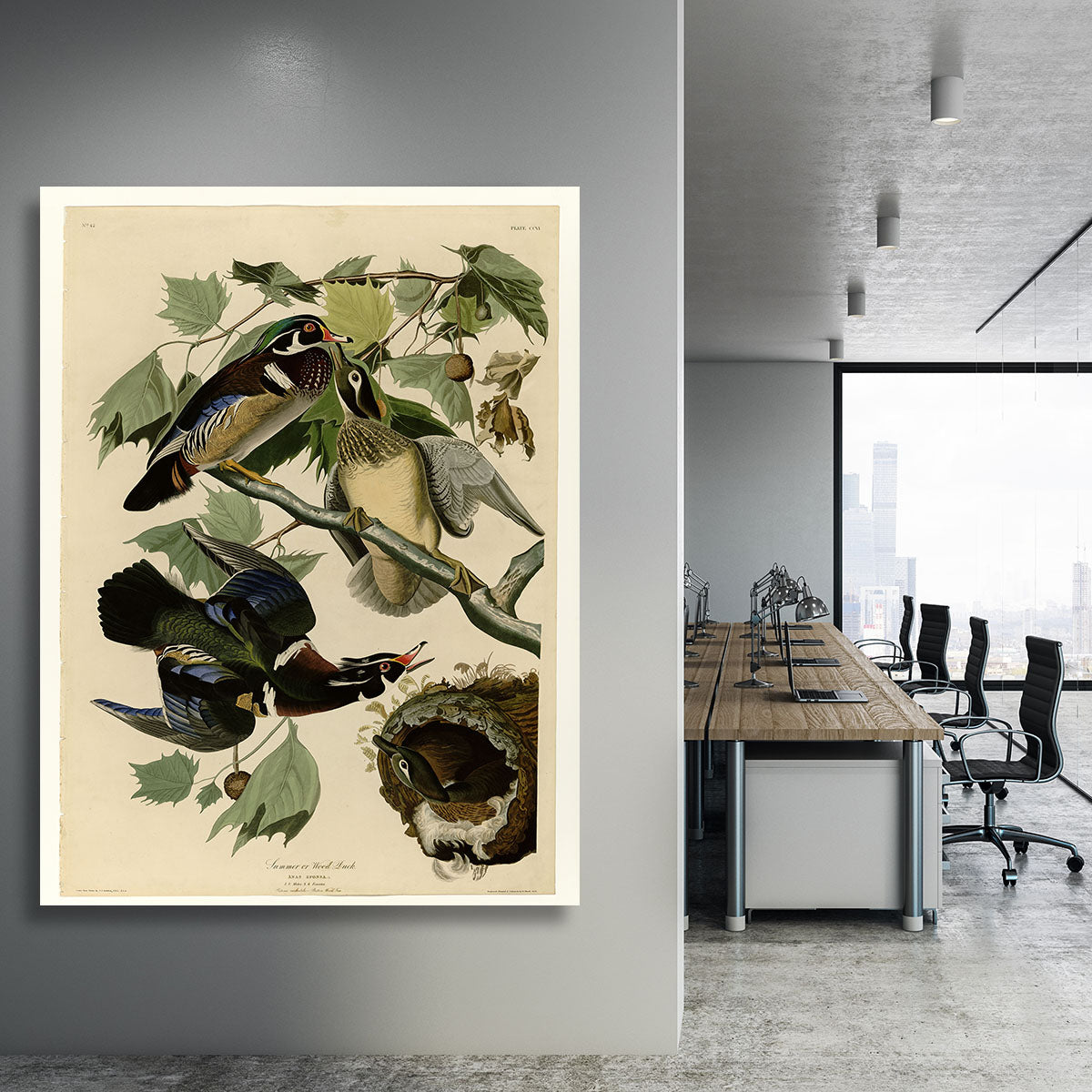 Summer Duck by Audubon Canvas Print or Poster - Canvas Art Rocks - 3