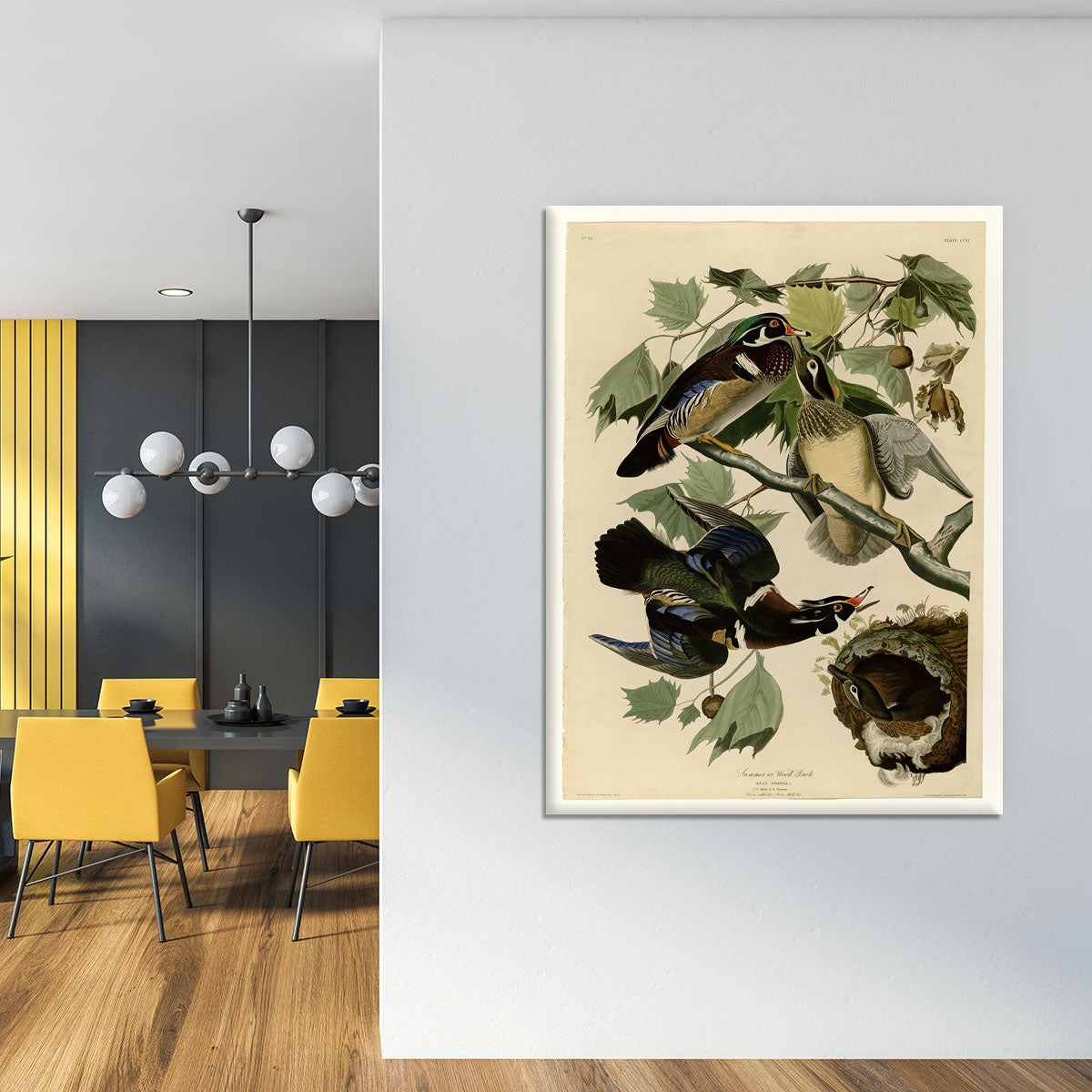 Summer Duck by Audubon Canvas Print or Poster - Canvas Art Rocks - 4