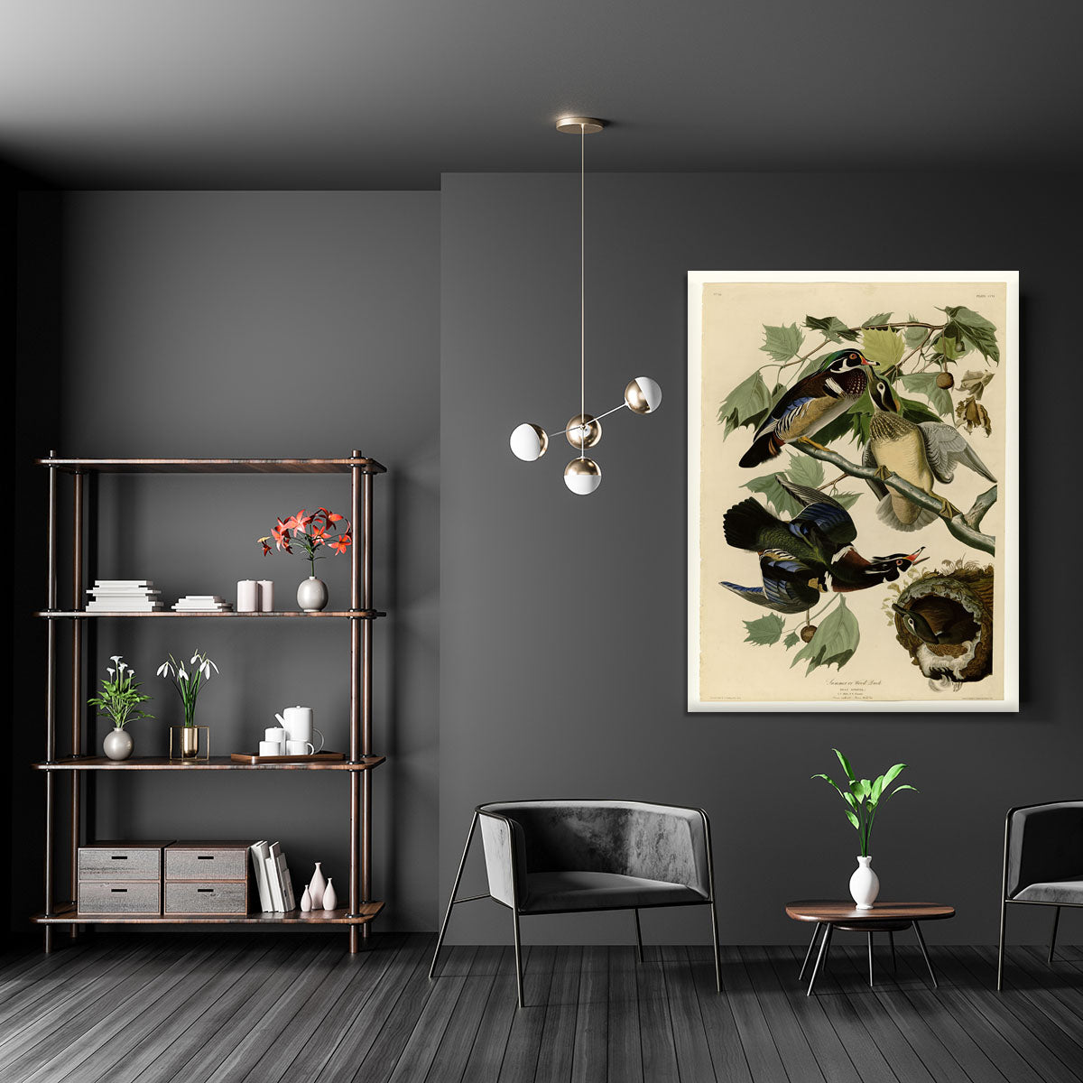 Summer Duck by Audubon Canvas Print or Poster - Canvas Art Rocks - 5