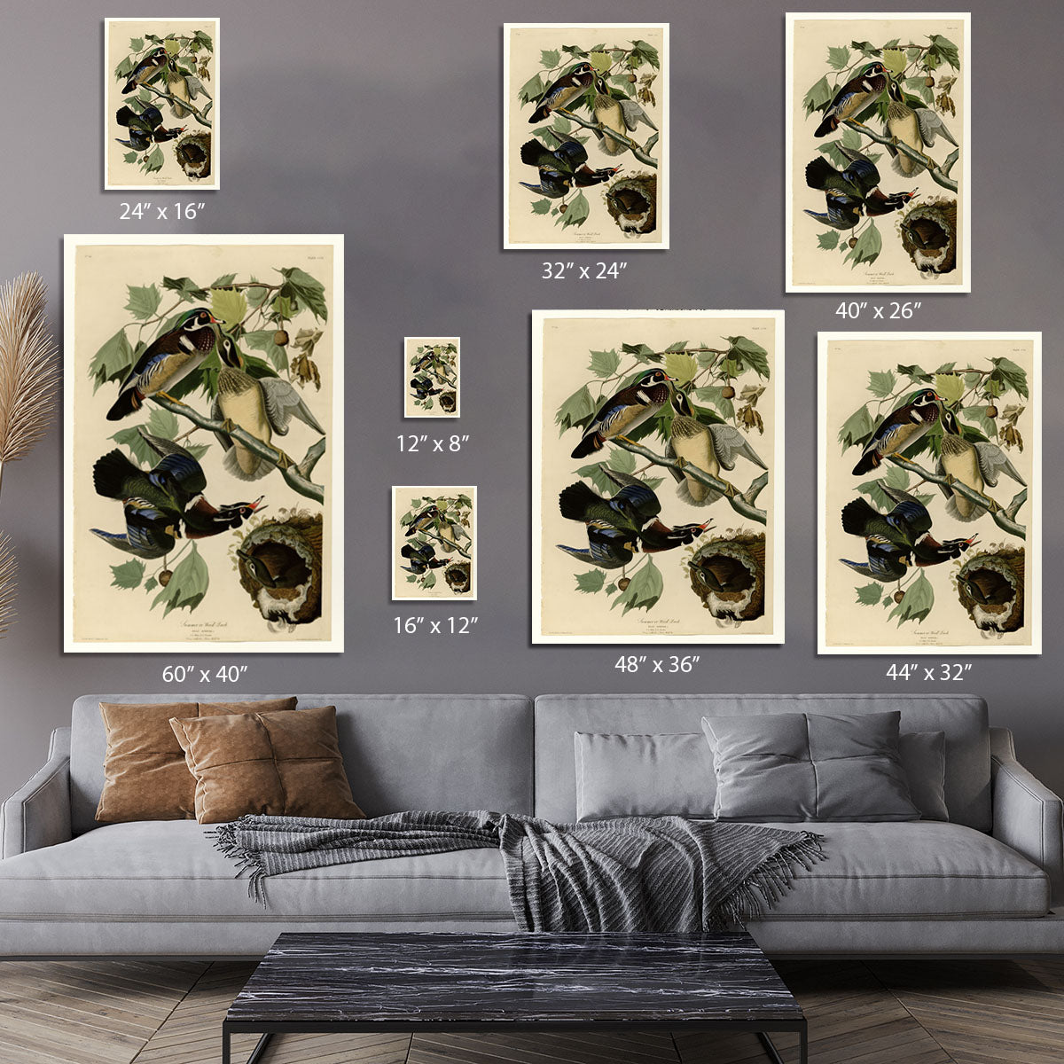 Summer Duck by Audubon Canvas Print or Poster - Canvas Art Rocks - 7