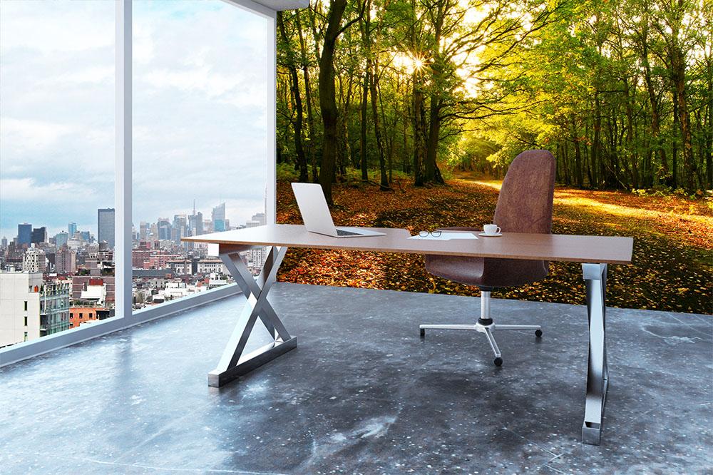 Sunlight through the autumn trees Wall Mural Wallpaper - Canvas Art Rocks - 3