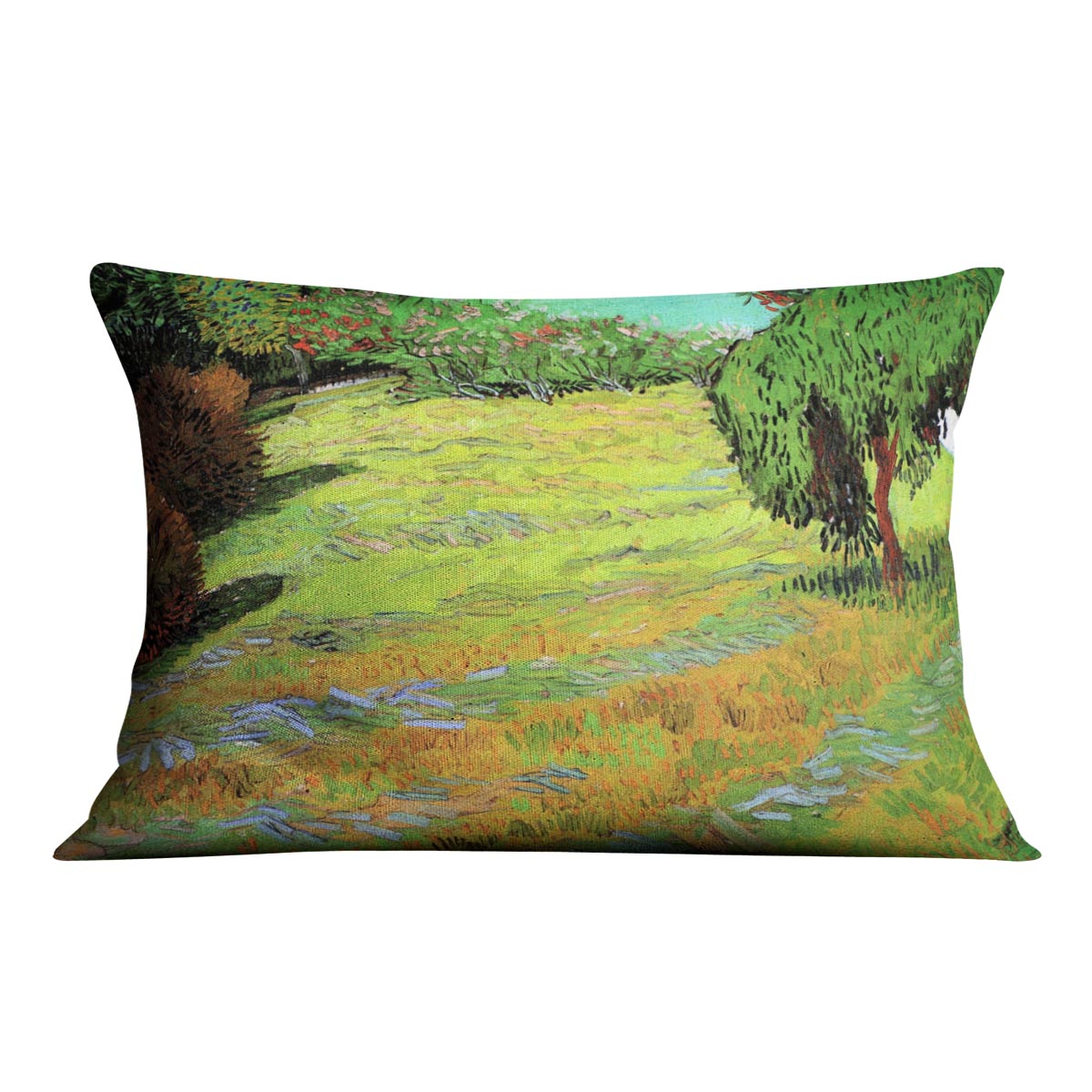 Sunny Lawn in a Public Park by Van Gogh Cushion